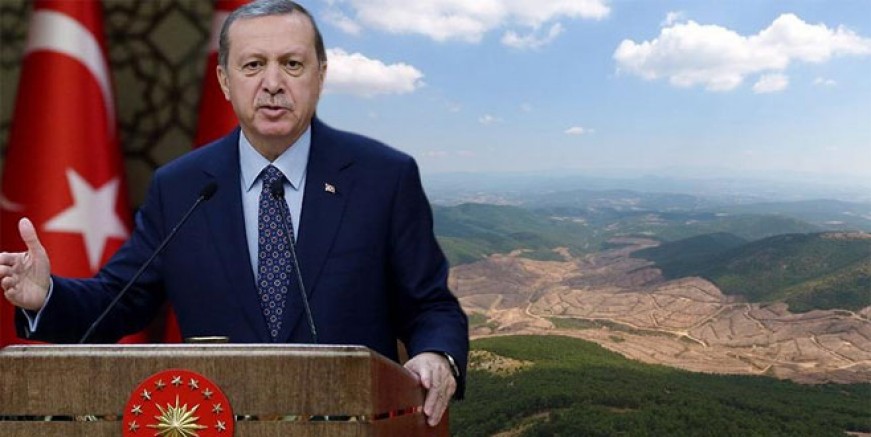 Erdoğan Kaz Dağları için kurmaylarına talimat verdi