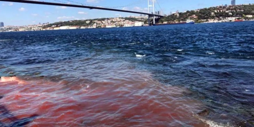 İstanbul Boğazı yine kana bulandı!