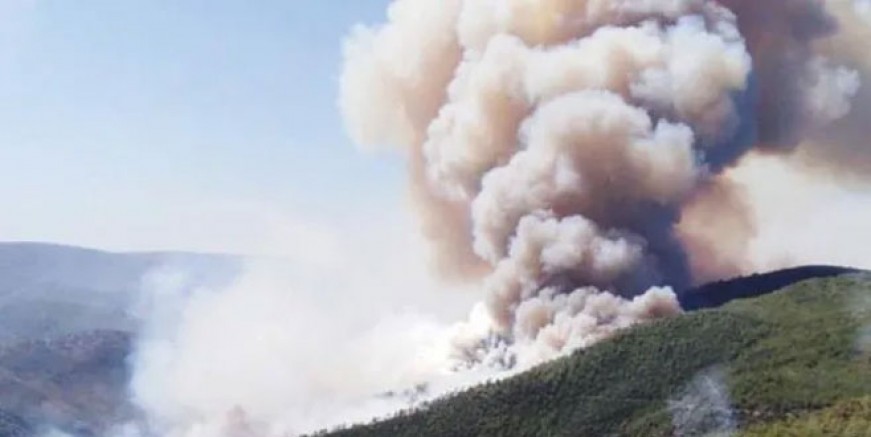 İzmir ve Muğla’da orman yangını!