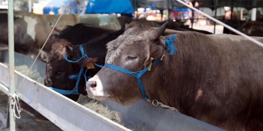 Kartal’da kurban kesim yerleri belli oldu