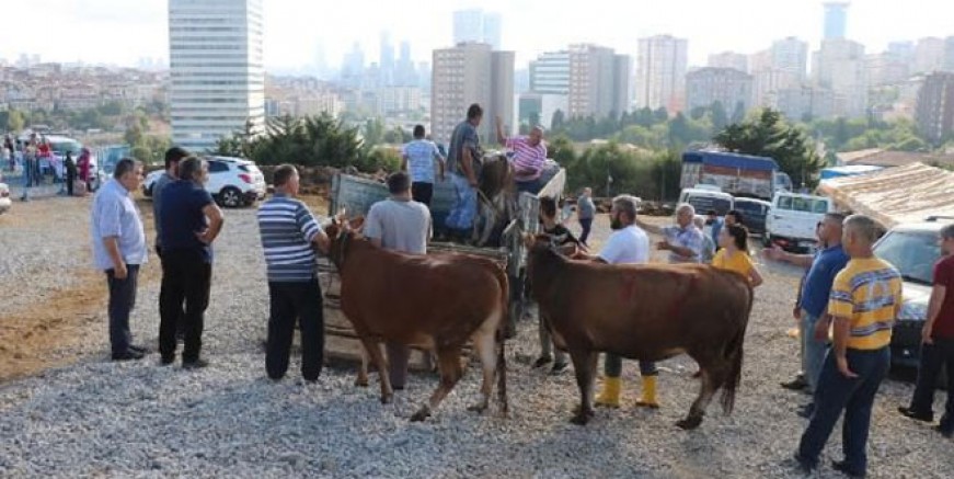 Kurban Bayramı’nda kesim yeri arbedesi