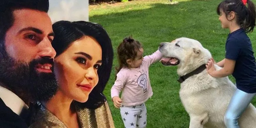 Volkan Demirel köpeği Dost’u kaybetti