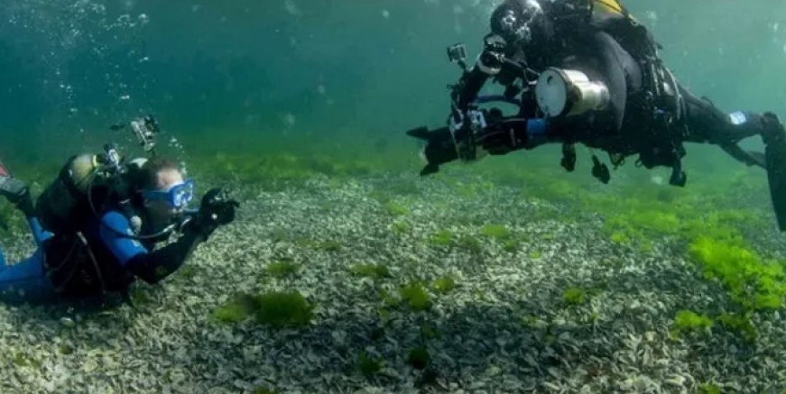 Dalgıçlar Vordonosi adasına daldı