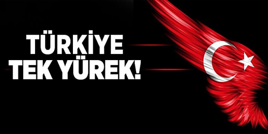 Türkiye şehitleri için kenetlendi