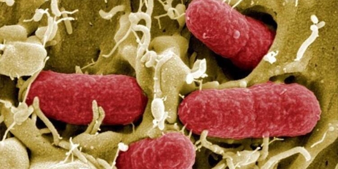 Dünya coronavirus ile savaşıyor! Son durum ne?