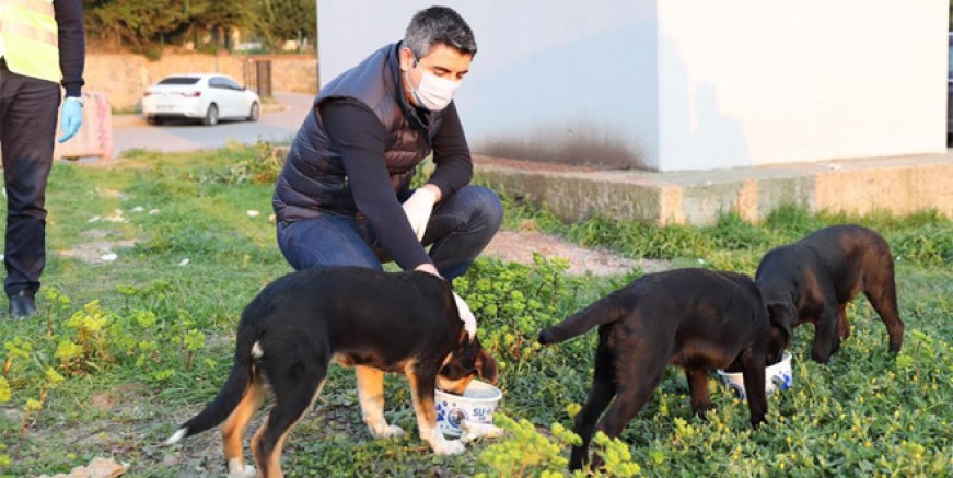 Gökhan Yüksel sokak hayvanlarını da unutmadı