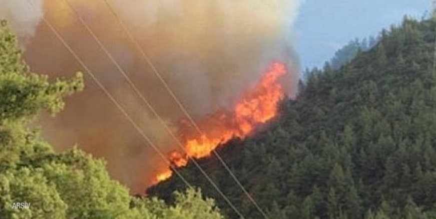 Aydos Ormanı’nda orman yangını