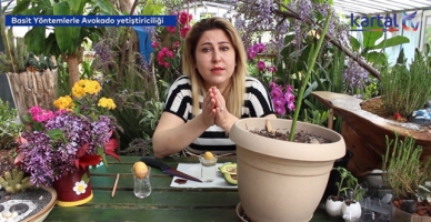 Basit yöntemlerle bitki yetiştiriciliği