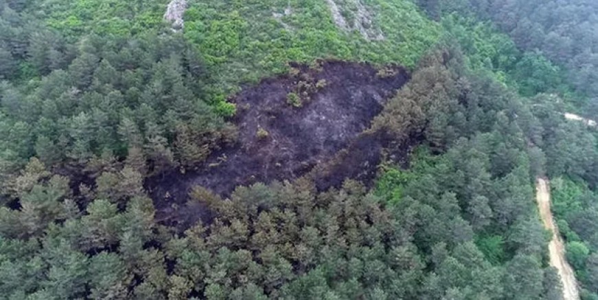 İşte Aydos’ta yanan ormanlık alan