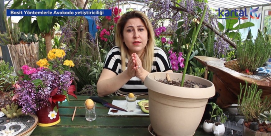 Kartal Belediyesi evde bitki yetiştirmeyi öğretiyor