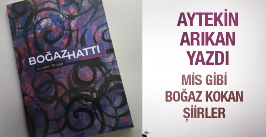 Aytekin Arıkan’ın şiir kitabı ‘Boğaz Hattı’ raflarda