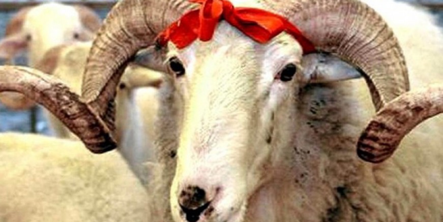 2020 Kurban Bayramı ne zaman?