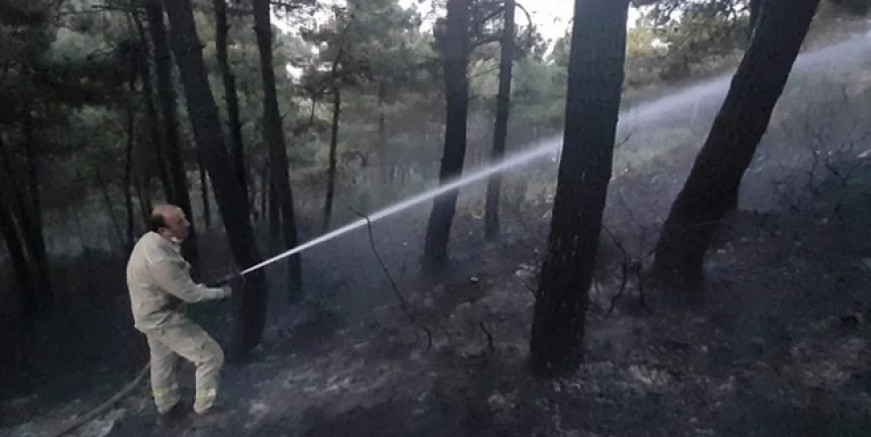 Kartal Aydos Ormanları’nda korkutan yangın