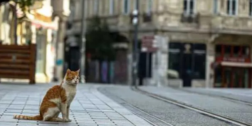 Hafta sonu sokağa çıkma yasağı getirildi