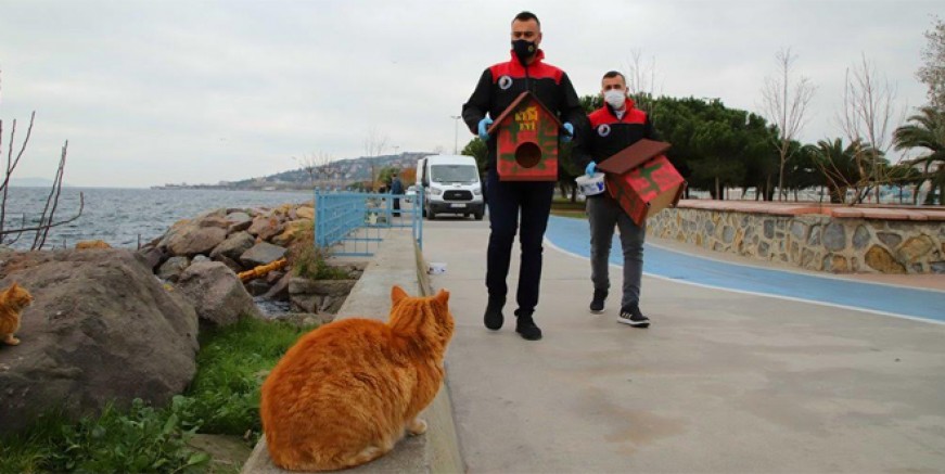 Kartal Belediyesi’nden kedilere sıcak yuva