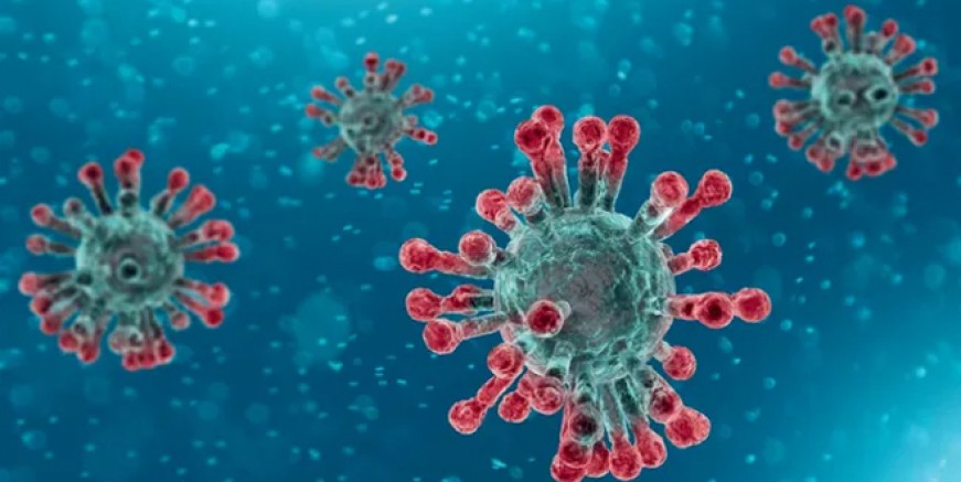 Mutasyonlu virüs daha ölümcül!