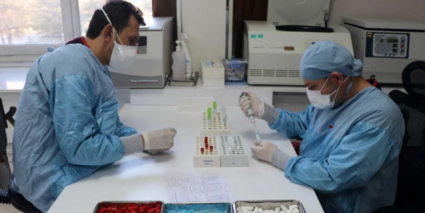 Yerli aşıda flaş gelişme; güçler birleşti!