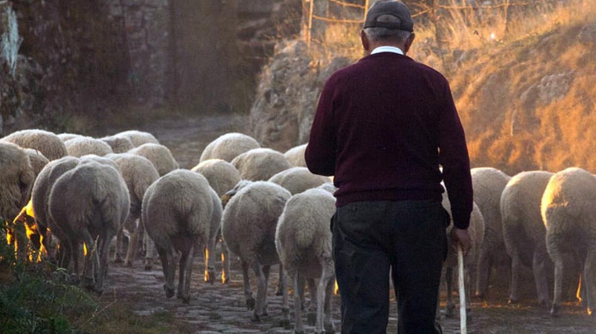Şehirden köye dönenlere büyük teşvik