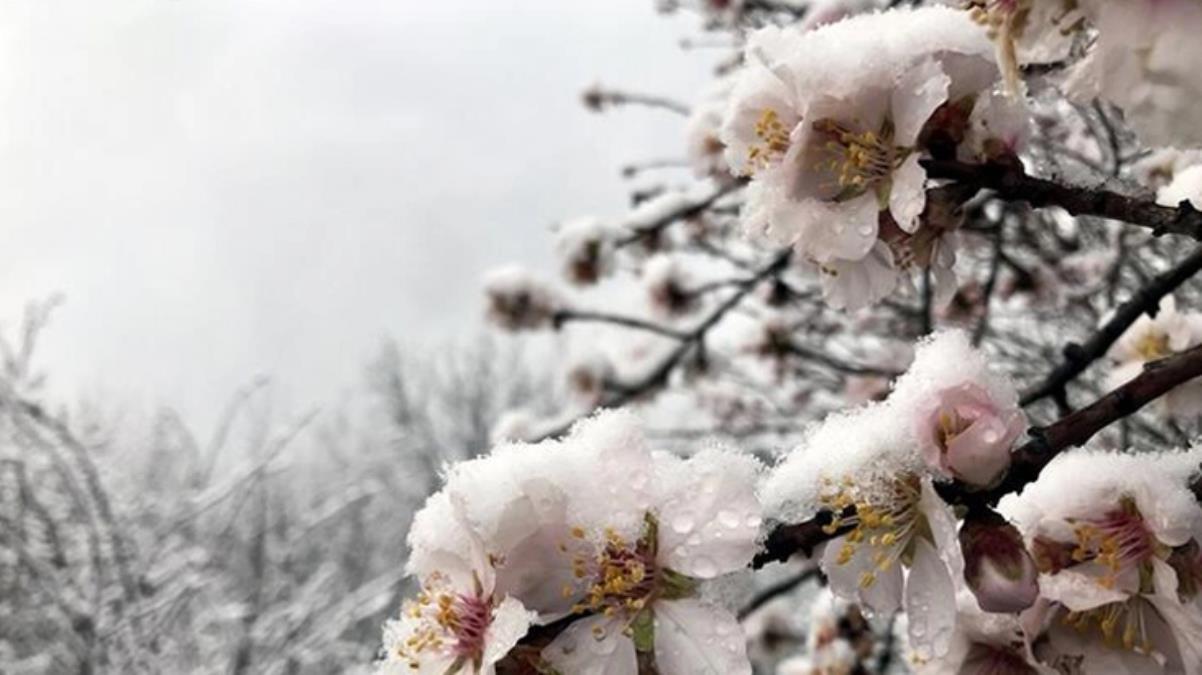 Meteoroloji’den 5 il için zirai don uyarısı