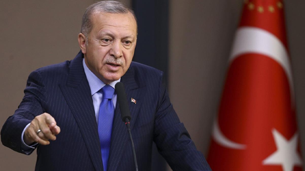 Erdoğan’dan hayvan hakları yasasıyla ilgili talimat