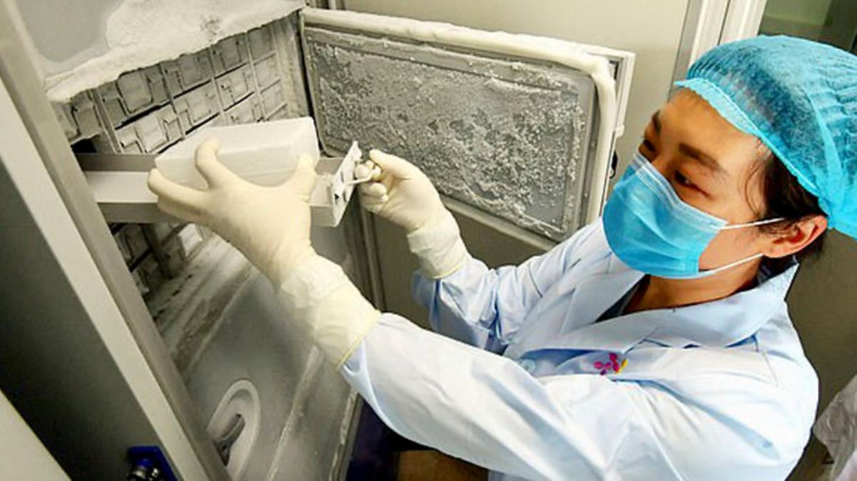 Koronayla ilgili tüm bilinenleri unutun!