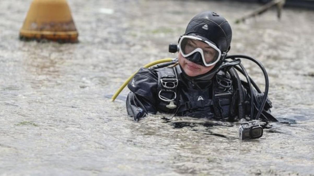 Deniz salyasının yararı ortaya çıktı!