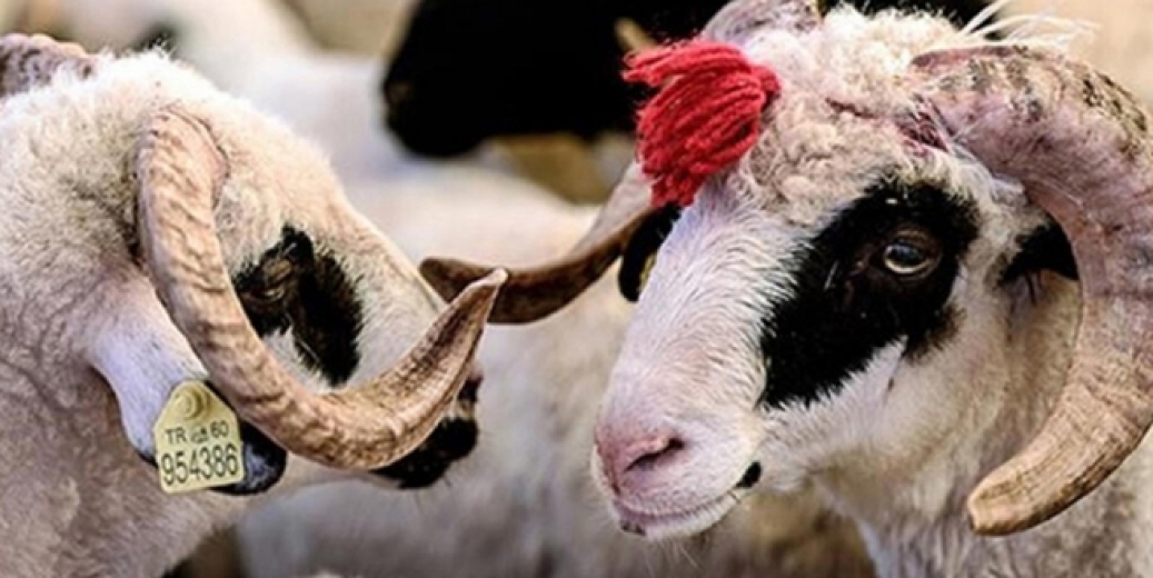 Kurban Bayramı tatili 10 güne mi çıkacak?