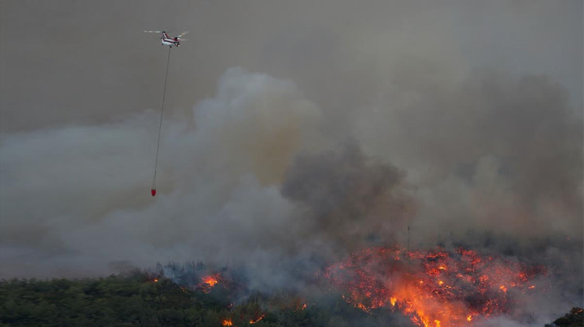 217 yangın kontrol altına alındı