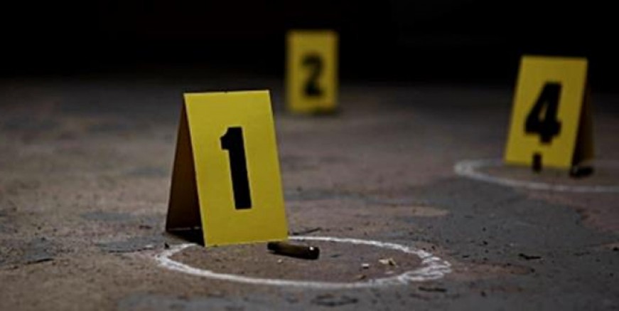 Ordu’da 12 yaşındaki çocuk tüm ailesini katletti