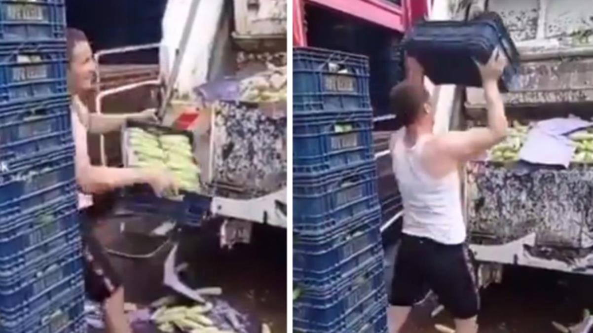 Kabağın çöpe dökülmesi bakanlığı harekete geçirdi