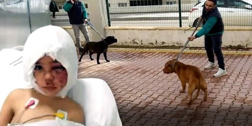 Asiye Ateş’in tedavisinde yeni gelişme