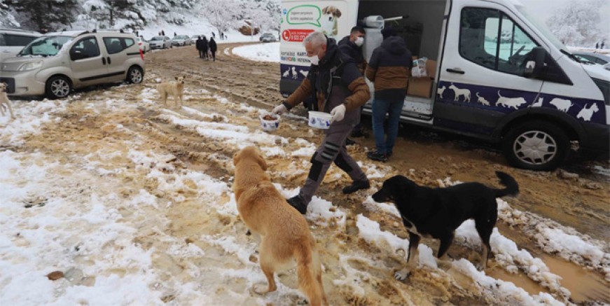 Kartal Belediyesi patili dostları karda da unutmadı