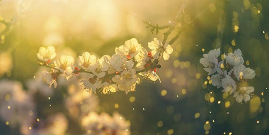 İkinci cemre ne zaman düşecek?