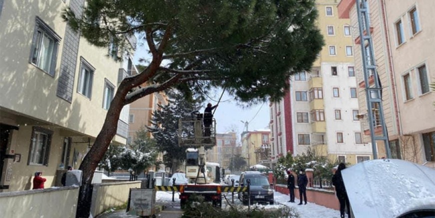 Kartal Belediyesi’nden kırılan ağaçlara anında müdahale