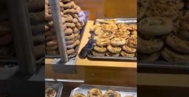 Ünlü zincir markette fare rezaleti