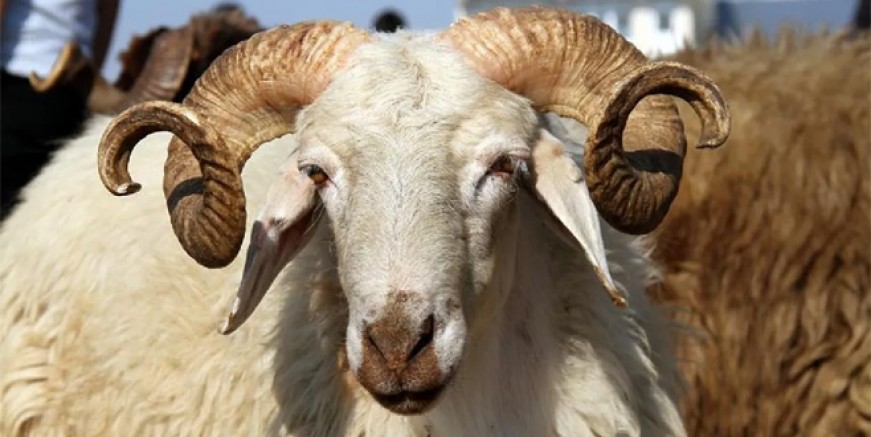 Kurban Bayramı ne zaman? 9 gün tatil olacak mı?