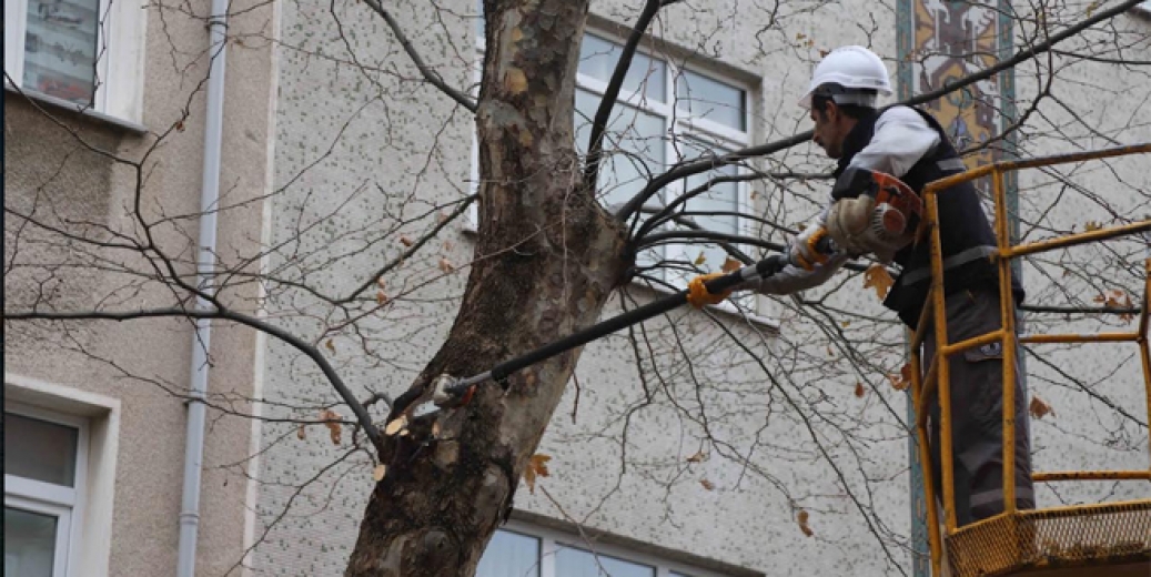 Kartal Belediyesi bahara hazırlıklarını sürdürüyor