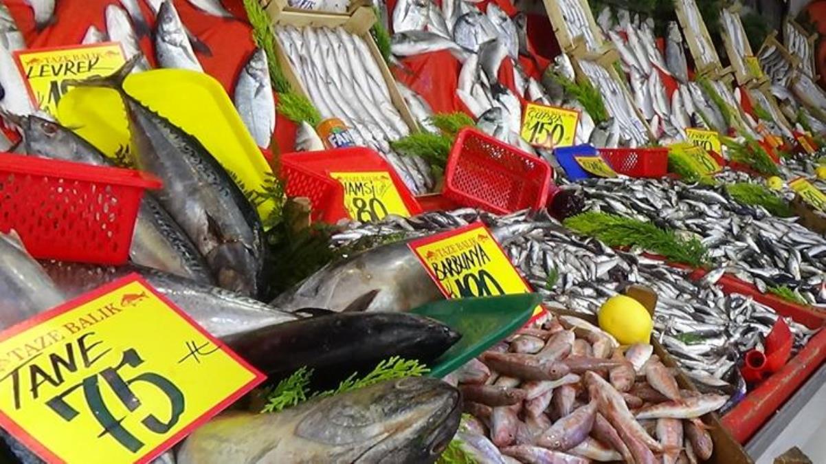 Denizlerde av yasağı 15 Nisan’da başlıyor