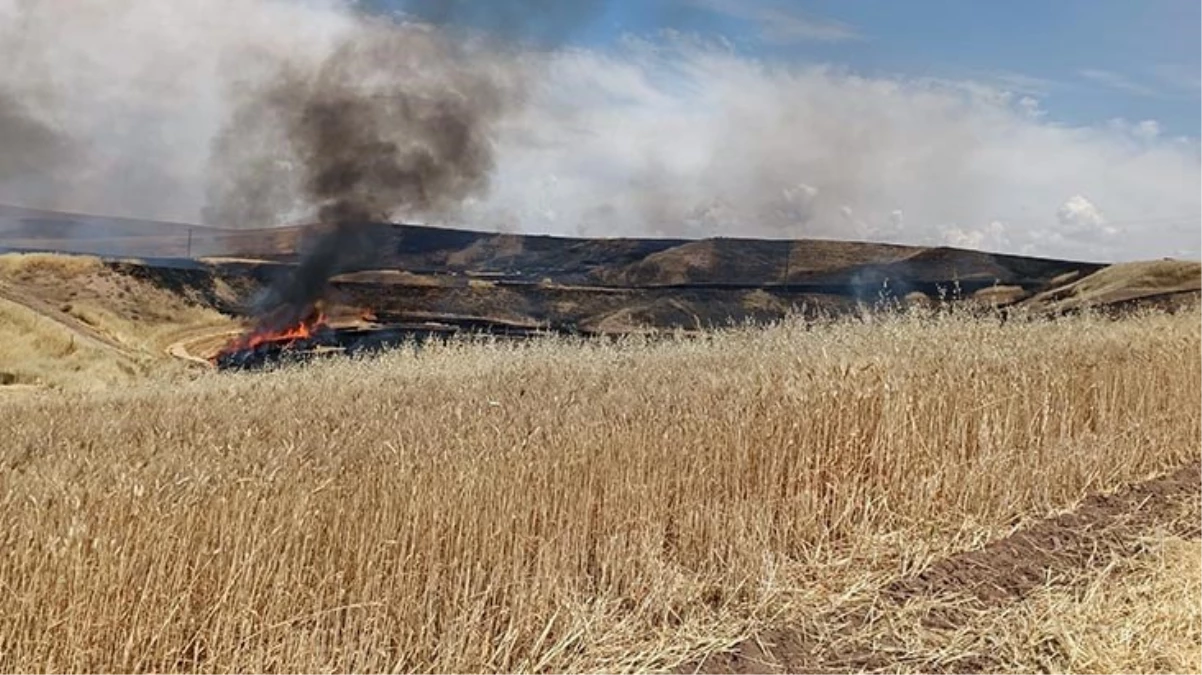 Diyarbakır’da arazi kavgası: 8 ölü, 3 yaralı