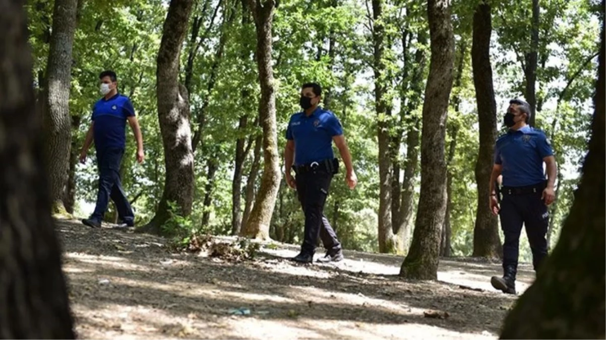 31 Ekim’e kadar ormanlık alanlara girişler yasaklandı