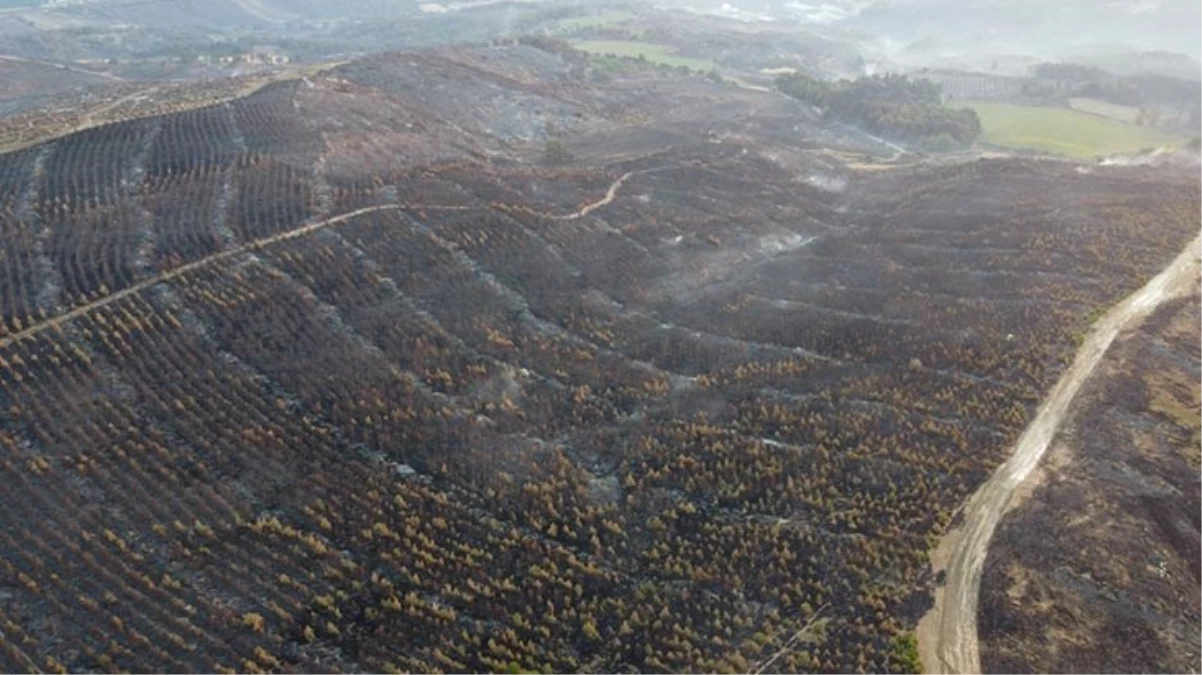 Çanakkale’de yangından geriye kahreden bu görüntüler kaldı