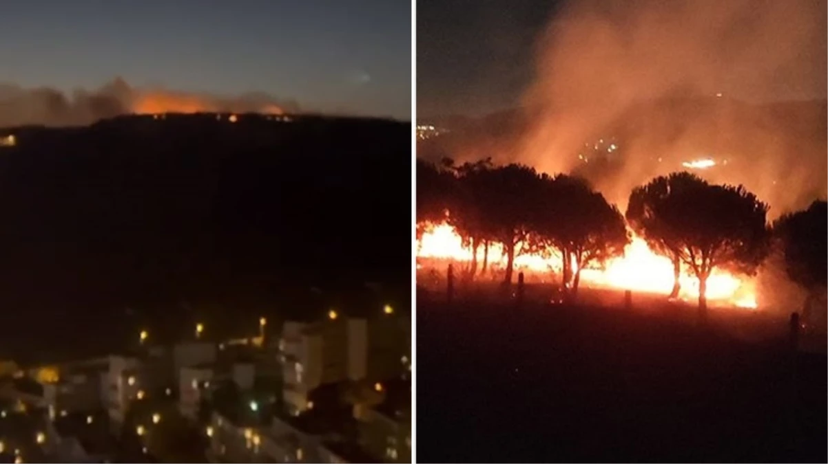 Maltepe’de orman yangını kontrol altına alındı