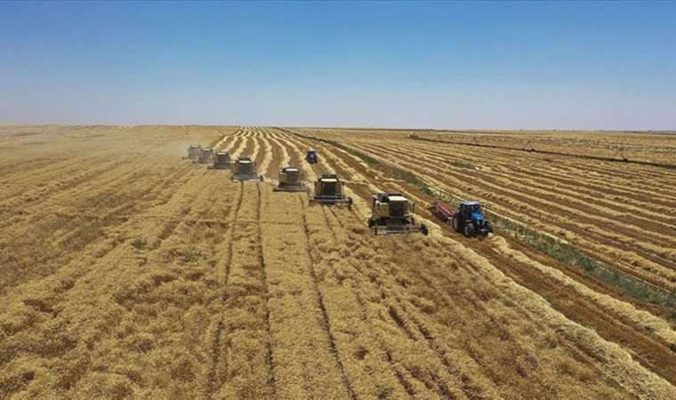 Tarımda 22 yıl sonra ilk kez sayım yapılacak