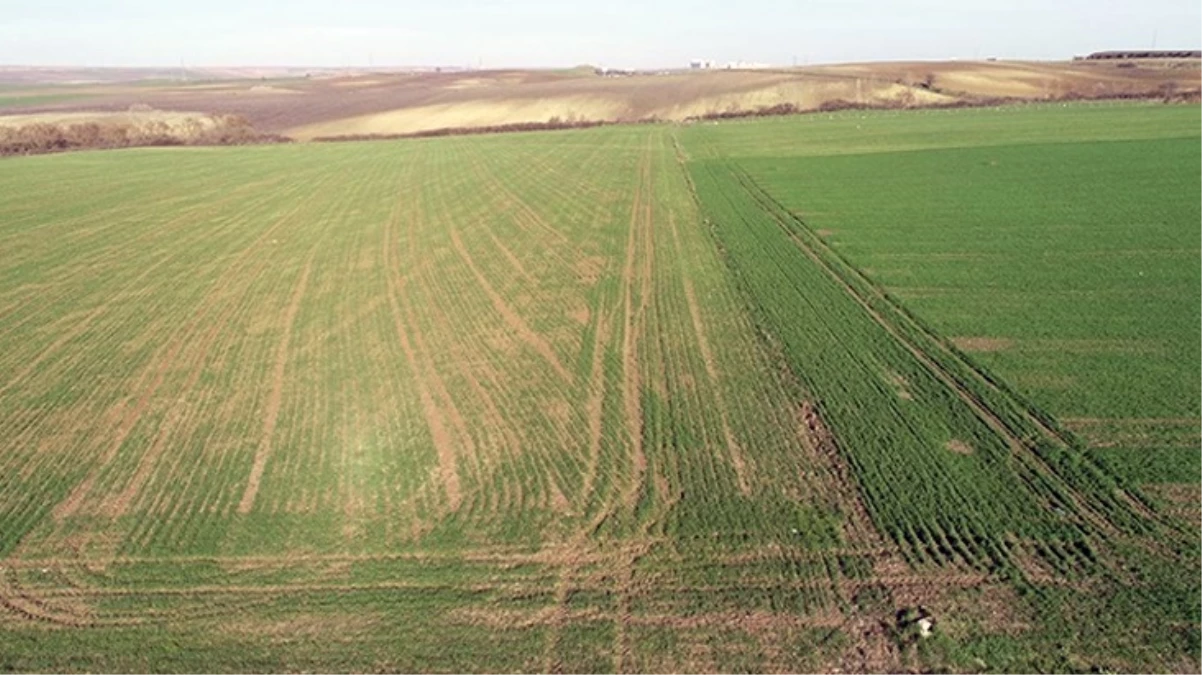 Anne babadan miras kalanlar dikkat!