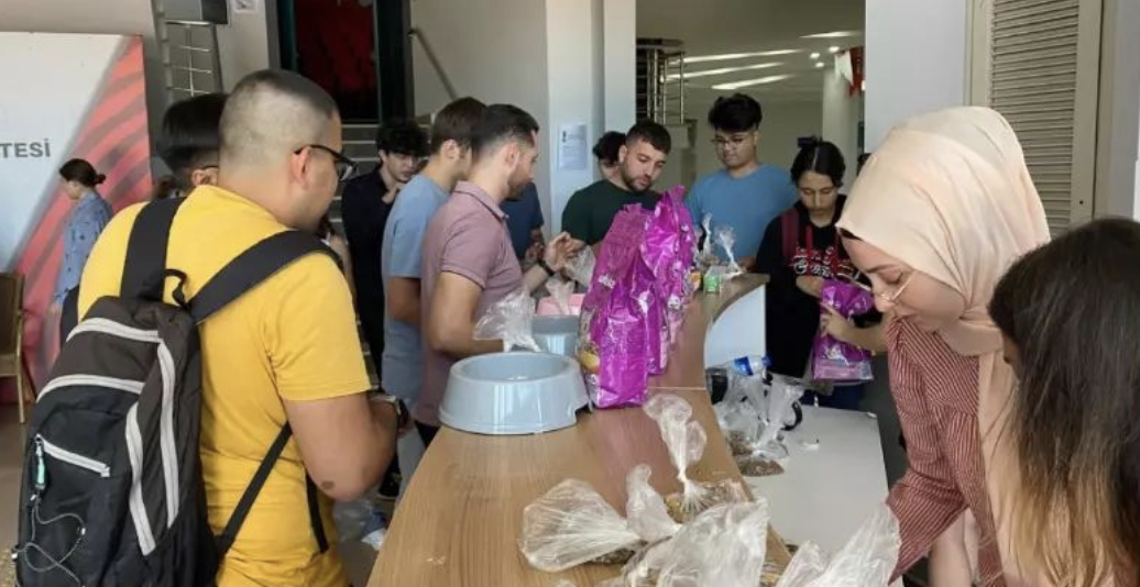 Antalya Belek Üniversitesi sokaktaki canlılarımızı unutmadı