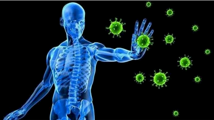 Bağışıklık sisteminizi nasıl güçlendirirsiniz?