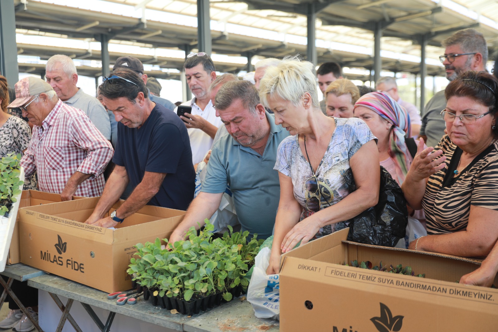 Bodrum Belediyesi 120 bin fide dağıttı