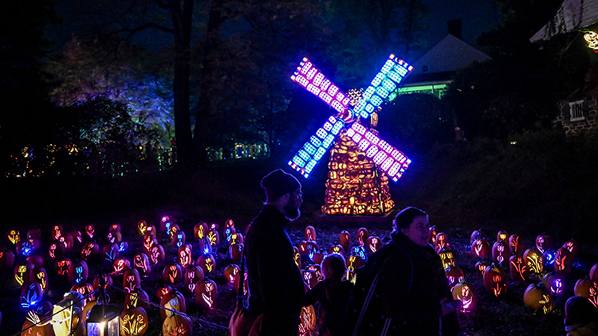 ABD’de Cadılar Bayramı heyecanı