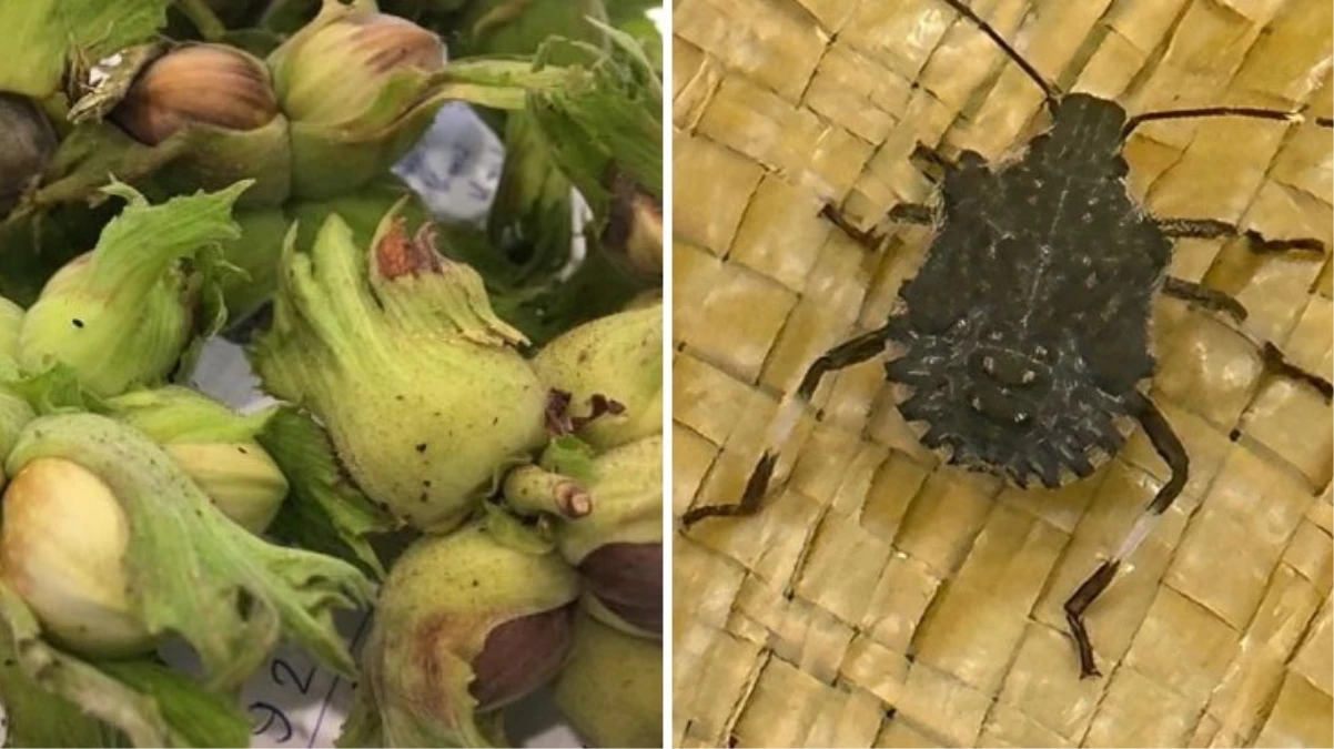 Kendi küçük ama etkisi 5 milyar lira!