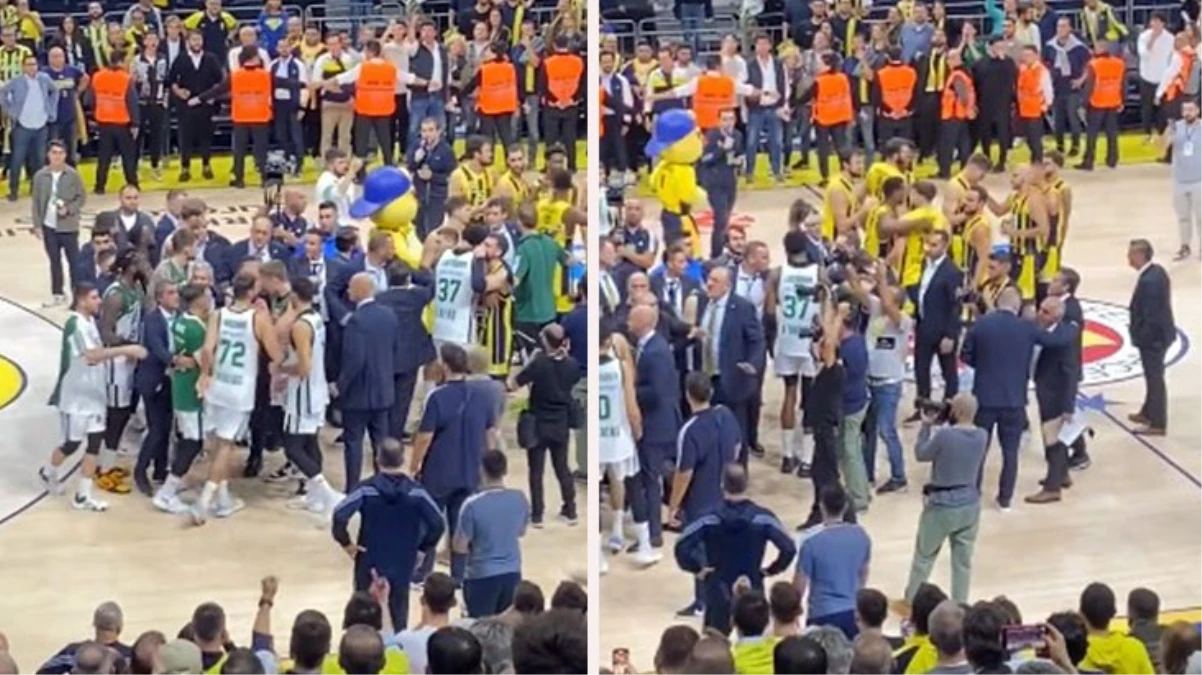 Fenerbahçe-Panathinaikos maçında kavga çıktı